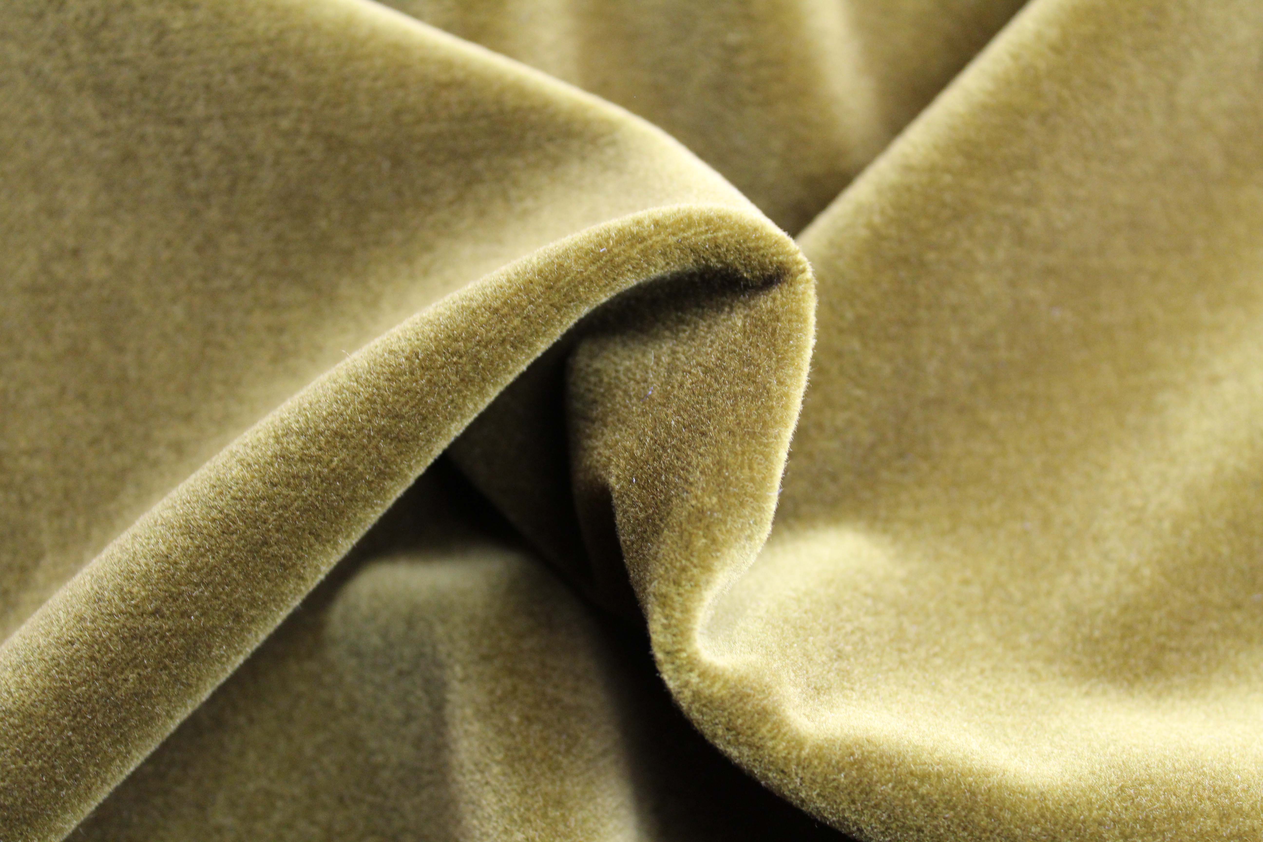 COTTON MODAL VELVET - ANTGOLD